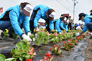 はこだて花かいどう 植栽活動への参加